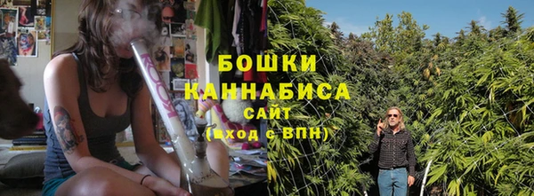 амф Аркадак